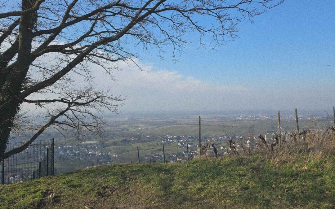 Gesund durch den Schwarzwald – wie Wandern meinen inneren Frieden stärkt